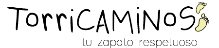 torricaminos.es